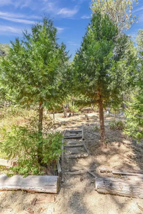 7145 Paramount Pass, Placerville, CA 95667 photo 59