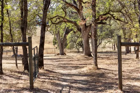 1800 Dormity Rd, Rescue, CA 95672 photo 39
