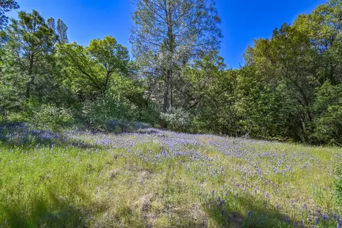 6412 Mt Aukum Rd, Somerset, CA 95684