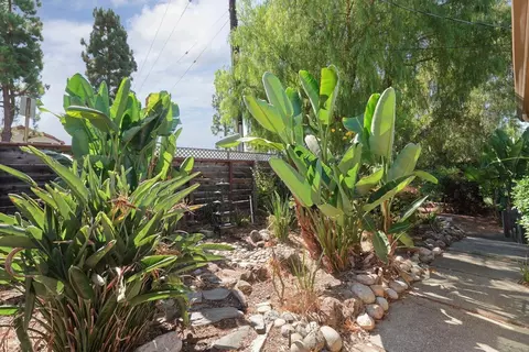 169 Pine St, Fremont, CA 94539 photo 17