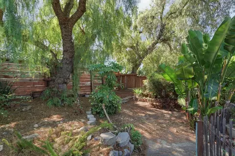 169 Pine St, Fremont, CA 94539 photo 18