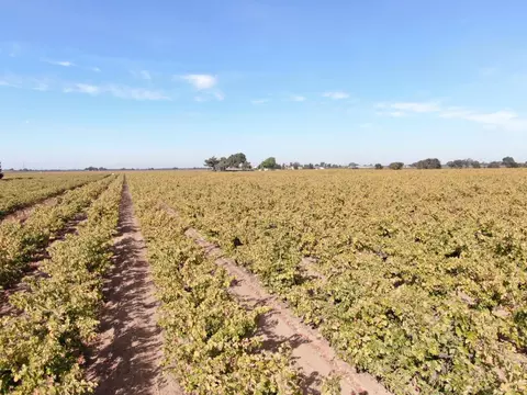 Other - 3575 W Turner Rd, Lodi, CA 95242 photo 12 of 12