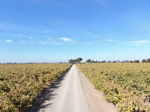 Other - 3575 W Turner Rd, Lodi, CA 95242 photo 11 of 12