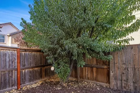 Exterior - 20865 Grapevine Dr, Patterson, CA 95363 photo 11 of 11