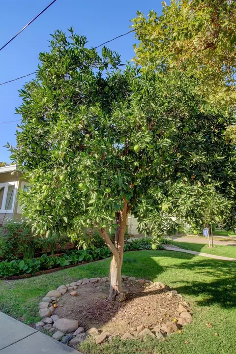 Exterior - 2655 6th Ave, Merced, CA 95340 photo 2 of 19