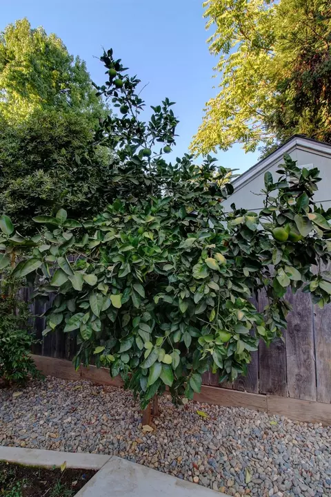 Exterior - 2655 6th Ave, Merced, CA 95340 photo 14 of 19