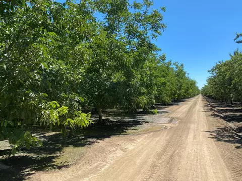 32200 S Koster Rd, Tracy, CA 95304
