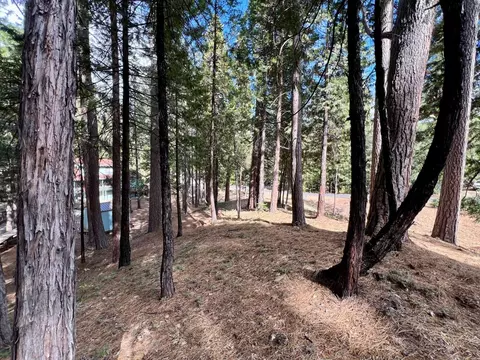 2448 Aspen Way, Arnold, CA 95223 photo 4
