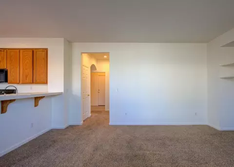235 Olivine Ave, Lathrop, CA 95330 photo 18