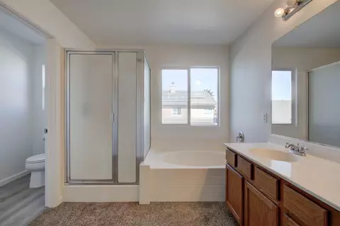 235 Olivine Ave, Lathrop, CA 95330 photo 39