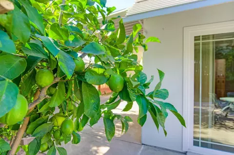 4638 Oakbough Way, Carmichael, CA 95608 photo 34