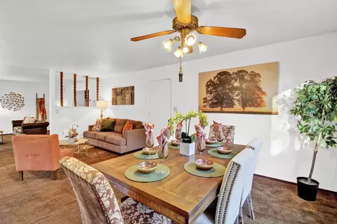 1305 Forest Dr, Turlock, CA 95380 photo 19