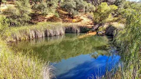 View/Area - 2092 Lois Ln, Cool, CA 95614 photo 3 of 14