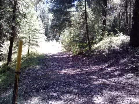 6000 Buffalo Hill Ct, Georgetown, CA 95634 photo 5