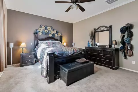 276 Colonial Trl, Lathrop, CA 95330 photo 24