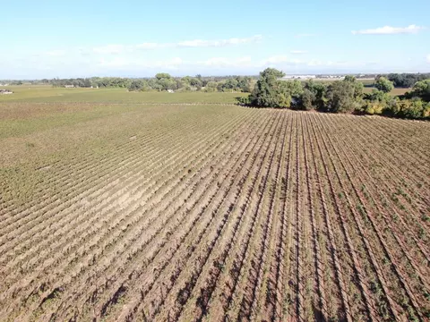 10334 E Woodbridge Rd, Acampo, CA 95220 photo 5