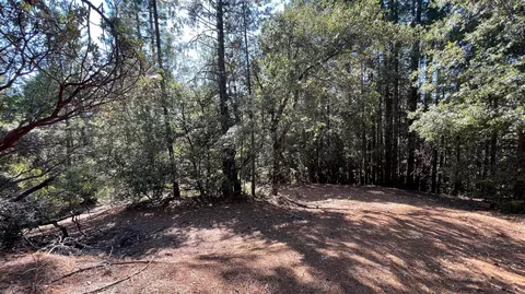 0 Yuletide Way, Georgetown, CA 95634 photo 16