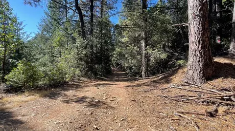 0 Yuletide Way, Georgetown, CA 95634 photo 17
