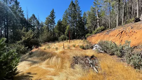 0 Yuletide Way, Georgetown, CA 95634 photo 19
