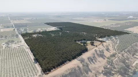 361 Arlberg Rd, Hickman, CA 95323 photo 1