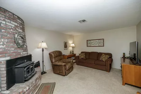 1730 Carignane, Escalon, CA 95320 photo 29