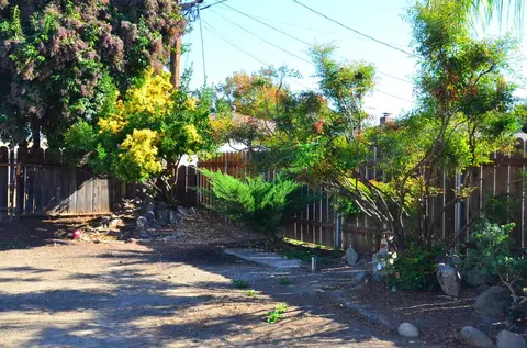 248 Acacia St, Lodi, CA 95240 photo 26