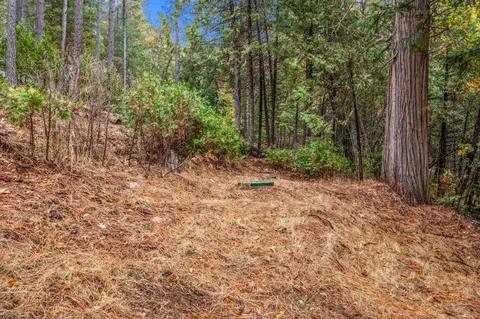 4935 Dowell Ln, Placerville, CA 95667 photo 51