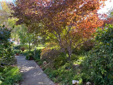 2552 Maple, Sutter, CA 95982 photo 3