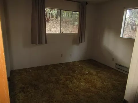14021 Druid Ln, Pine Grove, CA 95665 photo 15
