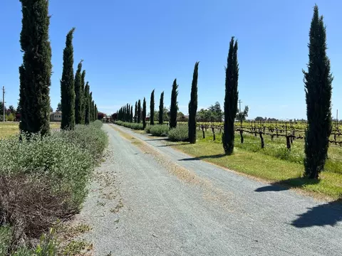 5430 E Kettleman Ln, Lodi, CA 95240 photo 51