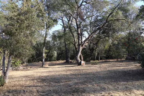1263 Funny Bug Rd, Placerville, CA 95667 photo 25