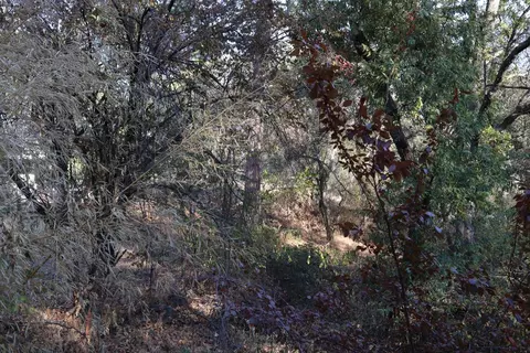 1263 Funny Bug Rd, Placerville, CA 95667 photo 32