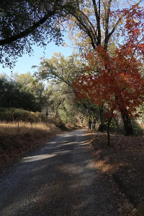 1263 Funny Bug Rd, Placerville, CA 95667 photo 5