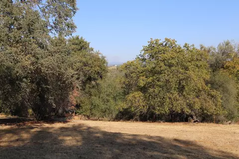 1263 Funny Bug Rd, Placerville, CA 95667 photo 9