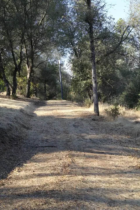 1263 Funny Bug Rd, Placerville, CA 95667 photo 21