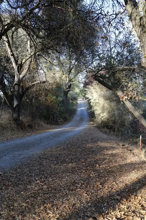 1263 Funny Bug Rd, Placerville, CA 95667 photo 14