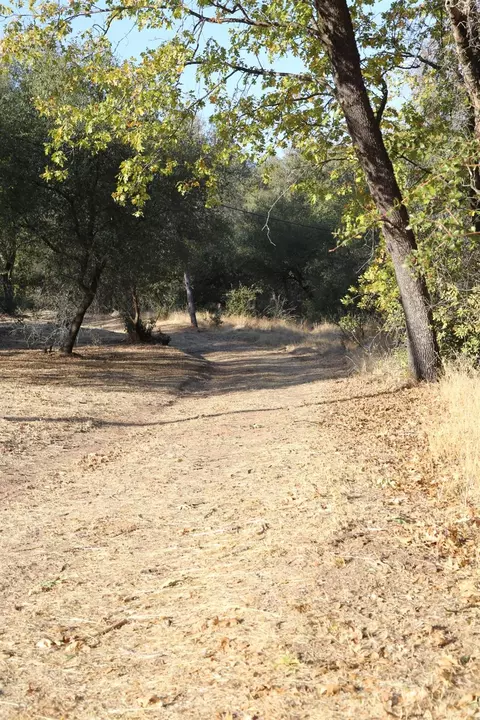 1263 Funny Bug Rd, Placerville, CA 95667 photo 20