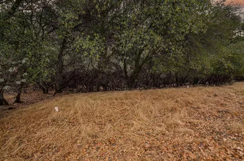 8600 Sandra Rd, Jackson, CA 95642 photo 41