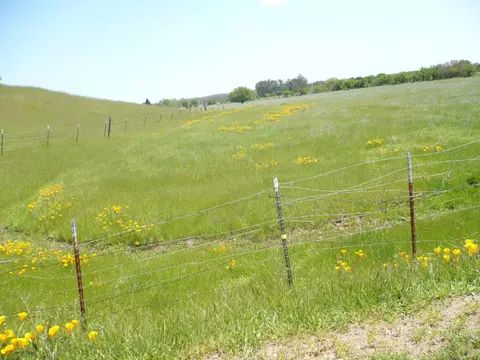 0 Cr 87, Winters, CA 95694 photo 4
