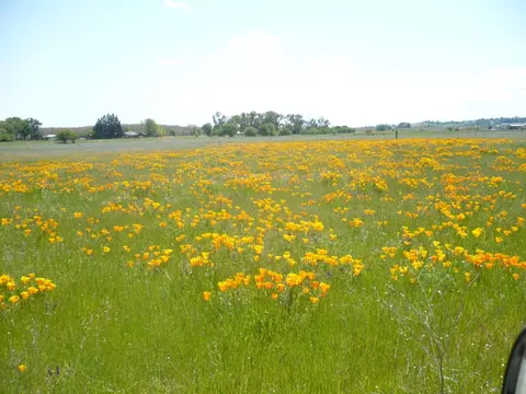 0 Cr 87, Winters, CA 95694 photo 2