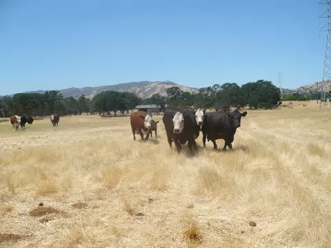 0 Cr 87, Winters, CA 95694 photo 3