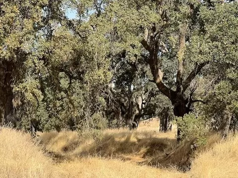 0 Cr 87, Winters, CA 95694 photo 6