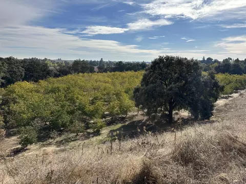 6975 Turlock Rd, Snelling, CA 95369 photo 16