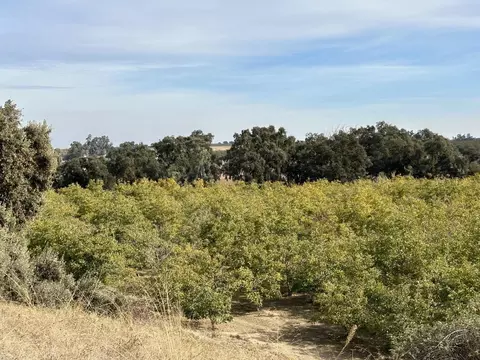6975 Turlock Rd, Snelling, CA 95369 photo 2