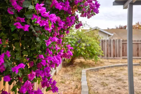 2212 Shadowbrook Way, Modesto, CA 95351 photo 35
