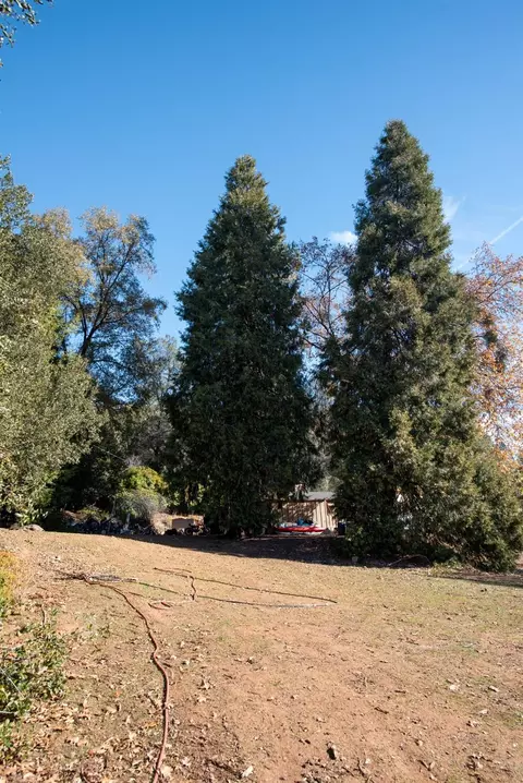 Exterior - 18239 Climax Rd, Jackson, CA 95642 photo 12 of 20