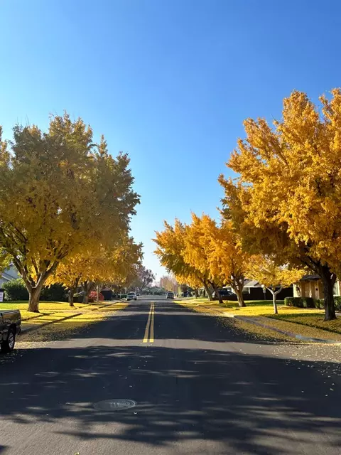 938 Slyvan Mdws, Modesto, CA 95356 photo 5