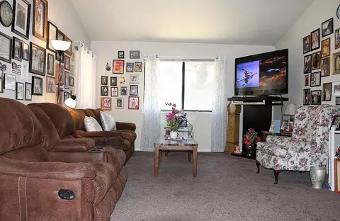 Living - 366 March Dr, Manteca, CA 95336 photo 4 of 4