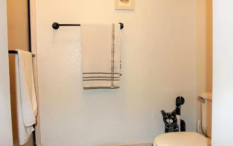 Bath - 366 March Dr, Manteca, CA 95336 photo 2 of 3
