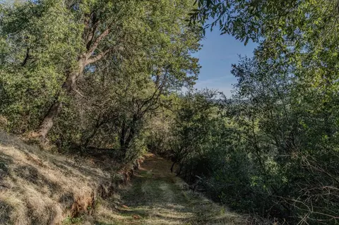 14238 Sutter Highlands Dr, Sutter Creek, CA 95685 photo 10